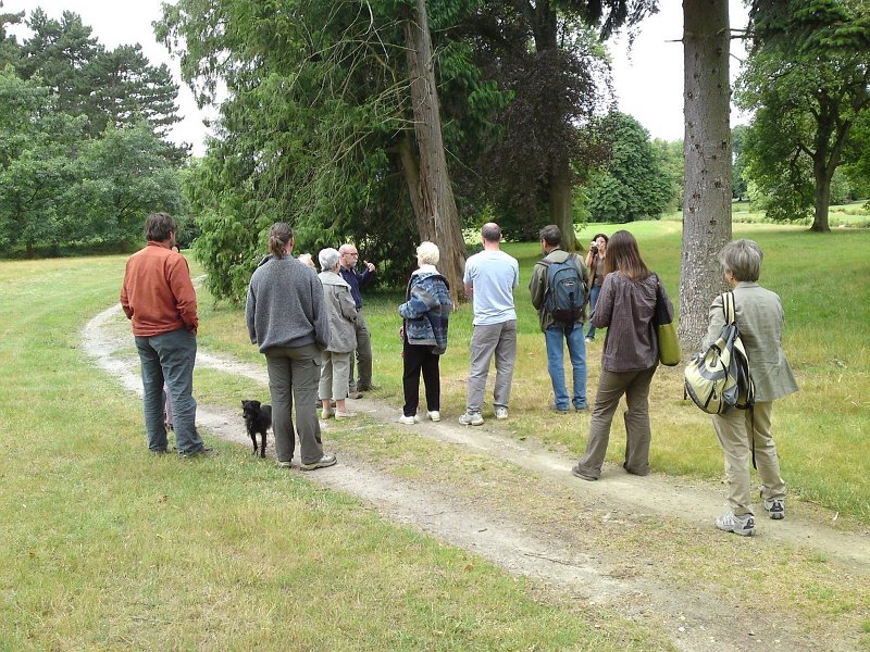 2009-07-11-Arbres du parc du château de Rambouillet